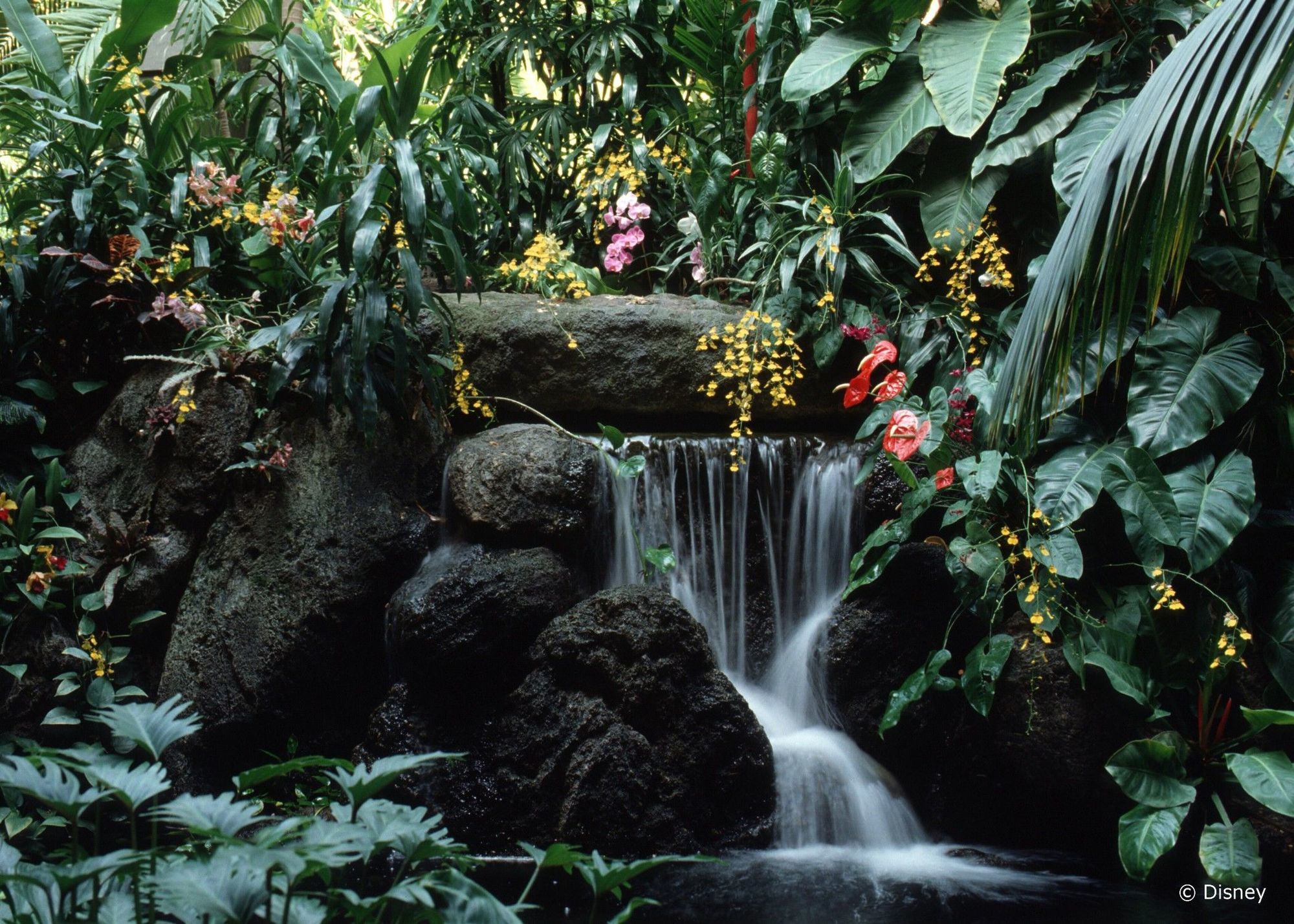 Disney'S Polynesian Village Resort Orlando Bagian luar foto